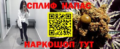 стаф Баксан