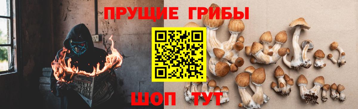 наркота  Вход с VPN  Выкса  Галлюциногенные грибы ЛСД 